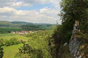 Auf dem Feuersalamanderpfad