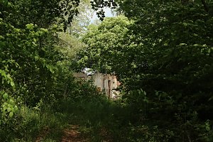 Auf dem Feuersalamanderpfad