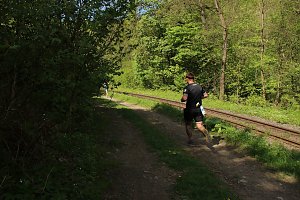 8. Harztorlauf gestartet