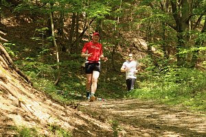 8. Harztorlauf gestartet