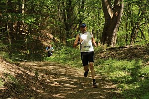 8. Harztorlauf gestartet
