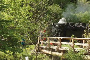 8. Harztorlauf gestartet