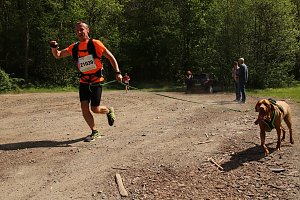 8. Harztorlauf gestartet