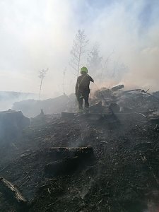 Waldbrand im Birkenmoor