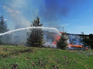 Waldbrand im Birkenmoor