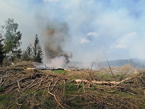 Waldbrand im Birkenmoor