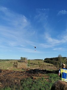 Waldbrand im Birkenmoor