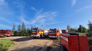 Waldbrand im Birkenmoor