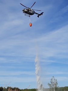 Waldbrand im Birkenmoor