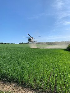 Waldbrand im Birkenmoor