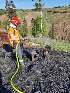 Waldbrand im Birkenmoor