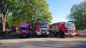 Waldbrand im Birkenmoor