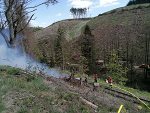 Waldbrand im Birkenmoor