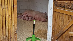 Landwirtschaft zum Staunen und Anfassen