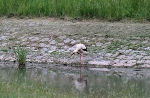 Peter Blei unterwegs am Stausee Kelbra