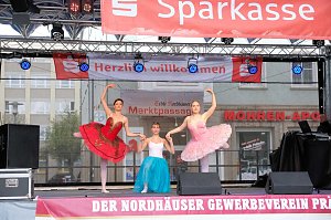 Peter Blei unterwegs auf dem Weinfest