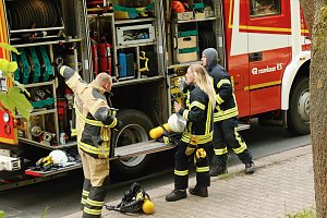 Brand am Gehege