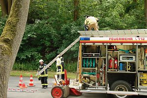 Brand am Gehege