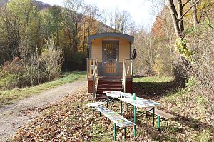 Natur pur erleben im Teichthal