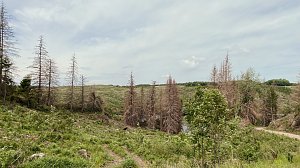 Eindr&uuml;cke aus dem Oberharz zwischen Trautenstein und Sophienhof