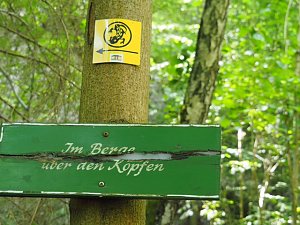 Auf dem Feuersalamanderpfad