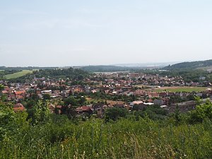 Auf dem Feuersalamanderpfad