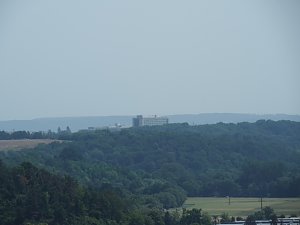 Auf dem Feuersalamanderpfad
