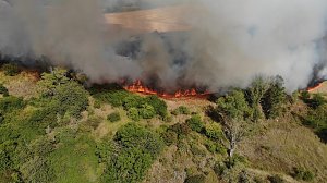 Feldbrand bei Gro&szlig;furra