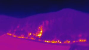 Waldbrand bei Wernrode