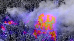 Waldbrand bei Wernrode