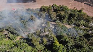 Waldbrand bei Wernrode