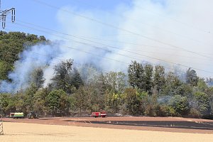 Waldbrand bei Wernrode