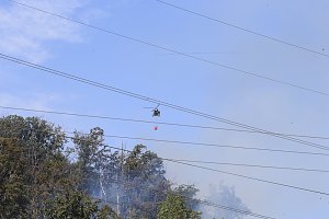 Waldbrand bei Wernrode