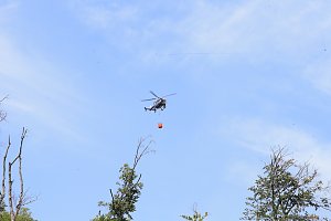 Waldbrand bei Wernrode