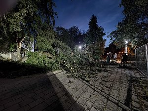 Ast begr&auml;bt Auto am Nordh&auml;user Theater