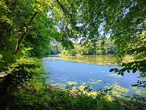 Peter Blei unterwegs in Liebenrode