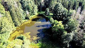 Am Hardteich
