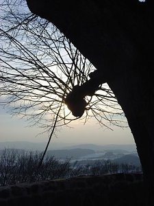 Sonnenstrahlen
