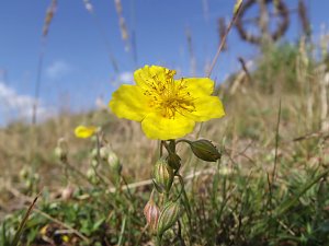 Fotowettbewerb l&auml;uft noch bis Ende September
