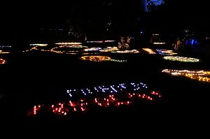 Peter Blei unterwegs auf dem Lichterfest