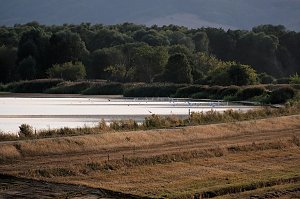 Abendstimmung am Stausee Kelbra