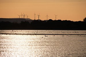 Abendstimmung am Stausee Kelbra