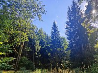 Ausstellung im Kunsthaus Meyenburg