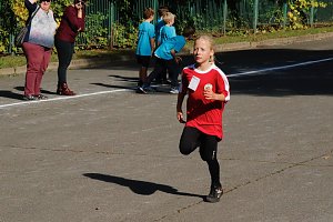 Herbstcrosslauf im Gehege