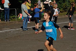 Herbstcrosslauf im Gehege