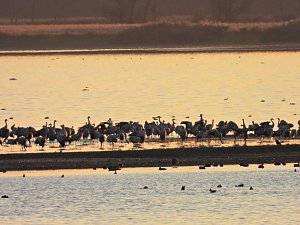 Traumwetter am Stausee