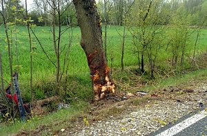 Horrorcrash