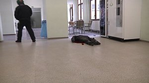 Einsatz nach Amoklauf