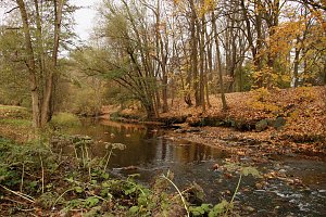 Wo ist all das Wasser hin? - Trockenheit und Niedrigwasser haben das Jahr bestimmt