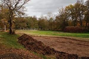 Wo ist all das Wasser hin? - Trockenheit und Niedrigwasser haben das Jahr bestimmt